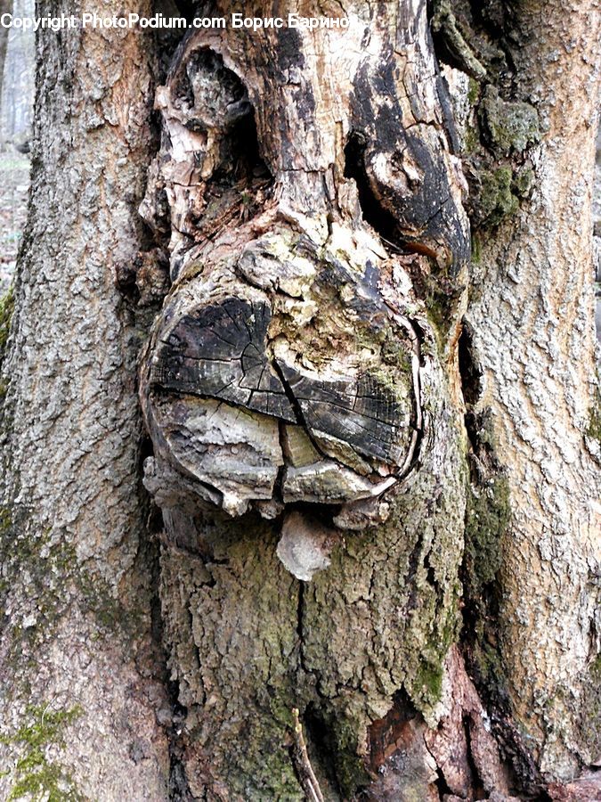 Hole, Art, Gargoyle, Statue, Wood, Rock, Head