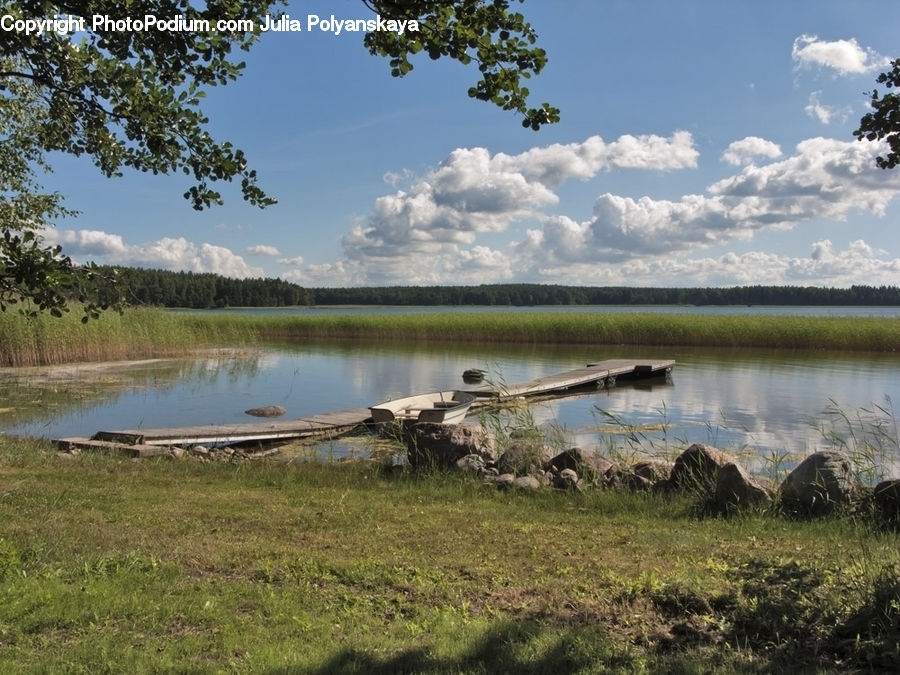 Animal, Elephant, Mammal, Land, Marsh, Outdoors, Swamp
