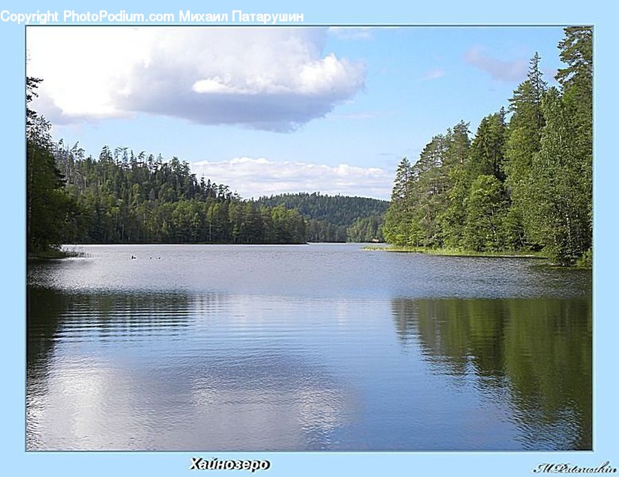 Lake, Outdoors, Water, Cloud, Cumulus, Sky, Conifer