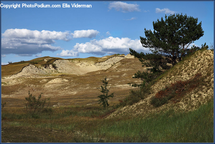 Grassland, Mound, Field, Grass, Land, Outdoors, Dirt Road