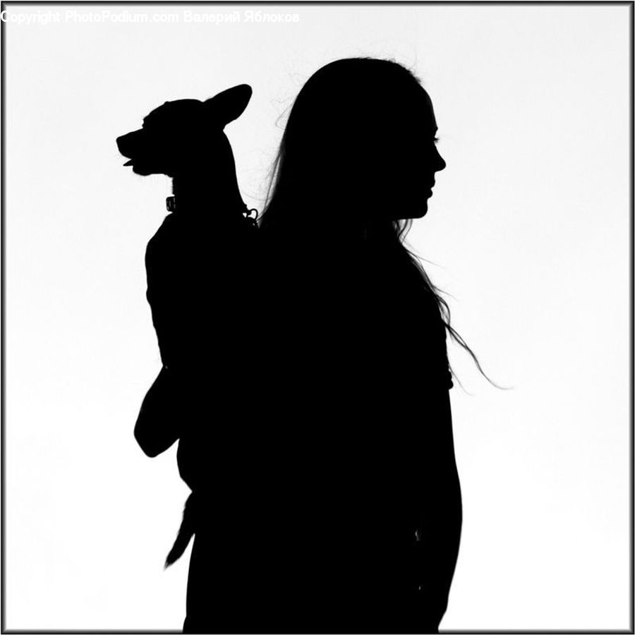 Silhouette, People, Person, Human