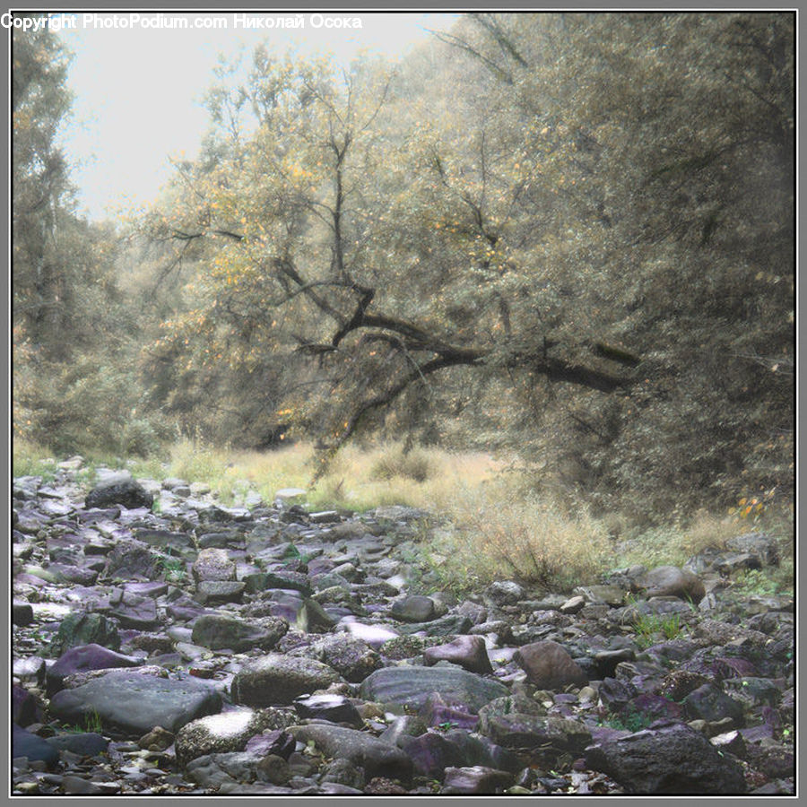 Rubble, Rock, Creek, Outdoors, River, Water, Landscape