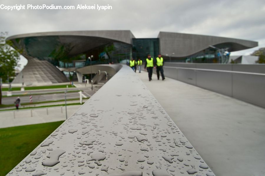 Plant, Potted Plant, Architecture, Observatory, Planetarium, Convention Center, Tunnel