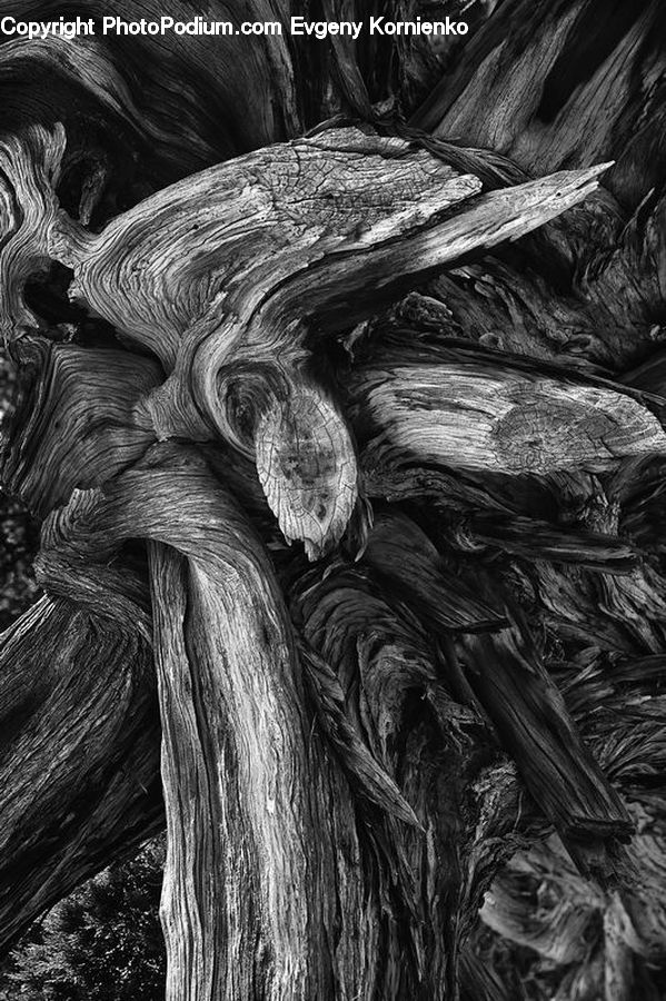 Wood, Art, Sculpture, Statue