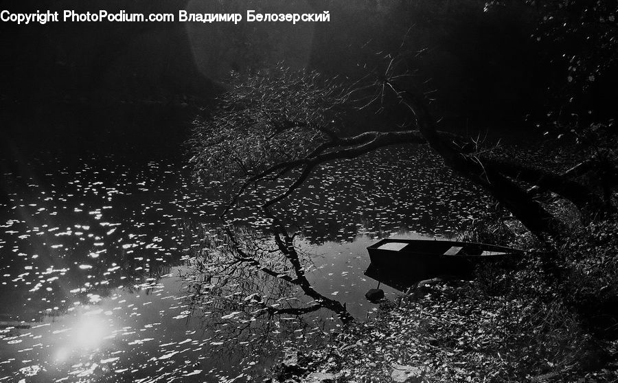 Boat, Watercraft, Bench, Lighting, Blossom, Flora, Flower