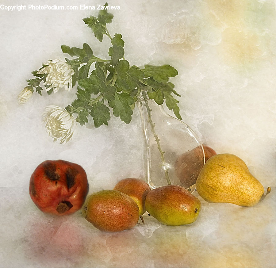 Fruit, Pomegranate, Citrus Fruit, Lemon, Market, Produce, Grapefruit