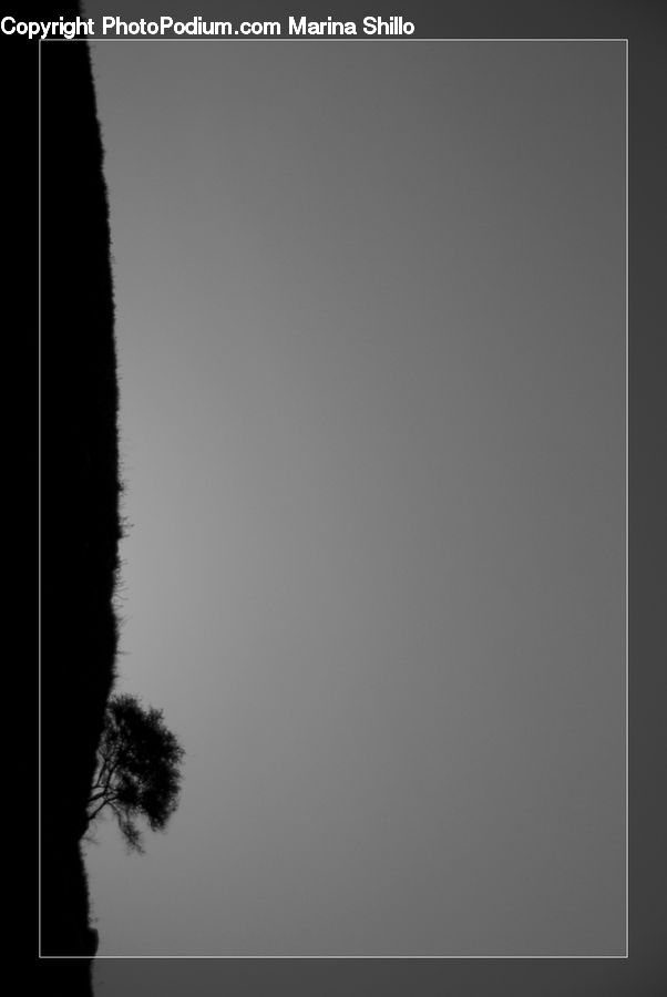 Silhouette, Field, Grass, Grassland, Plant