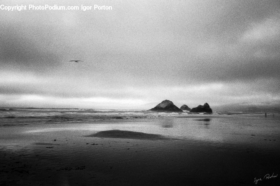 Beach, Coast, Outdoors, Sea, Water, Sand, Soil