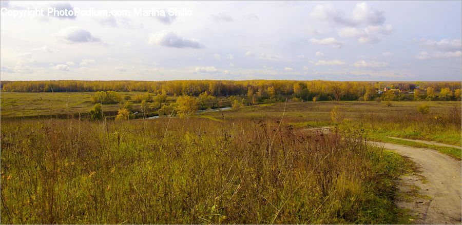 Field, Grass, Grassland, Land, Outdoors, Dirt Road, Gravel