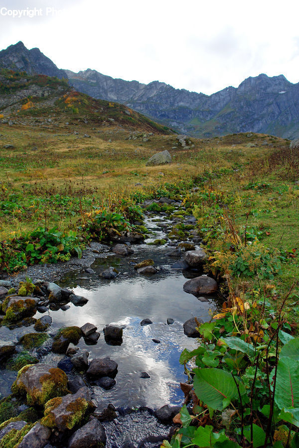 Creek, Outdoors, River, Water, Rock, Forest, Jungle