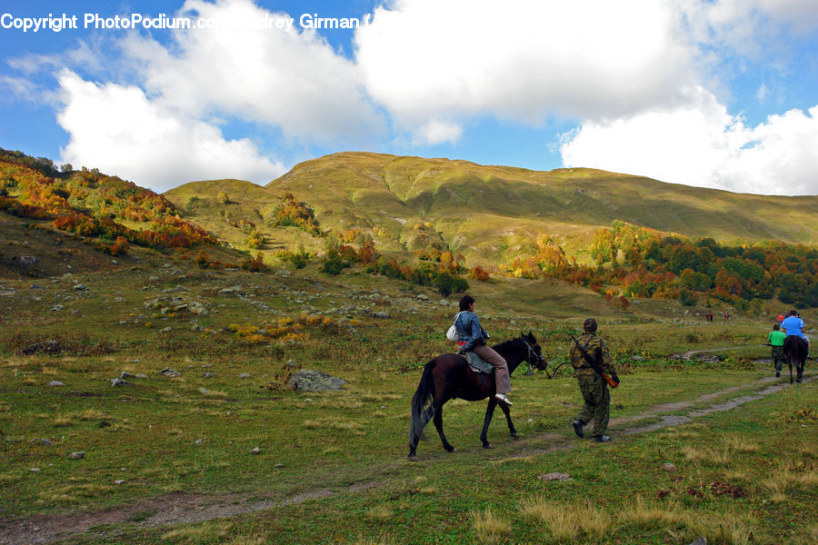 Animal, Horse, Mammal, Leisure Activities, Walking, Equestrian, Person