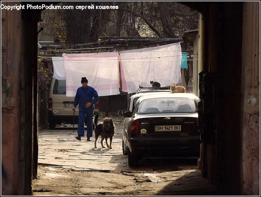 Automobile, Car, Vehicle, Alley, Alleyway, Road, Street