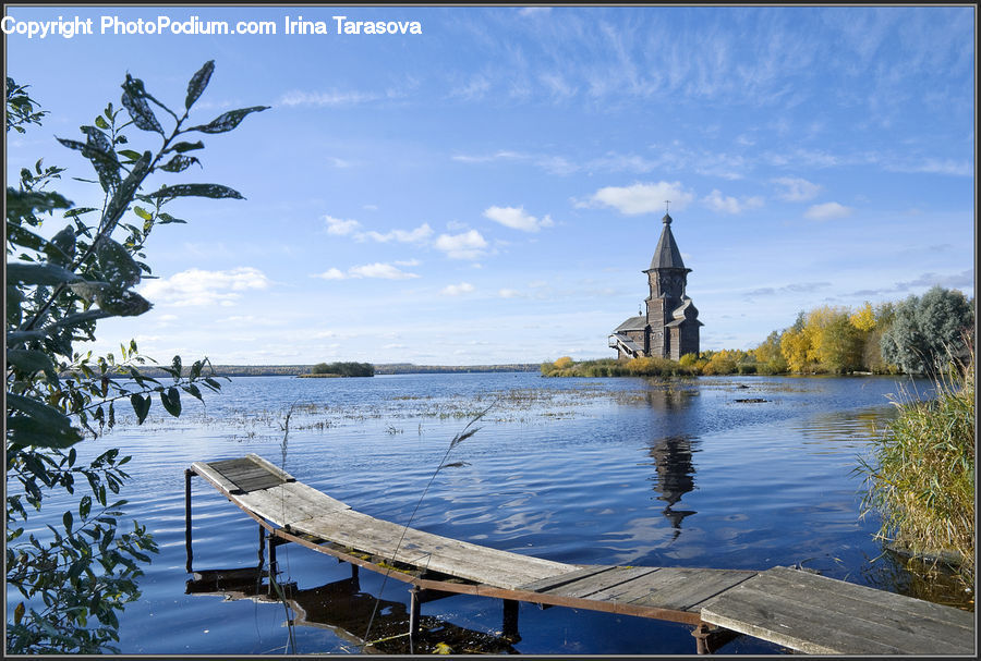 Plant, Potted Plant, Boat, Dinghy, Dock, Landing, Pier