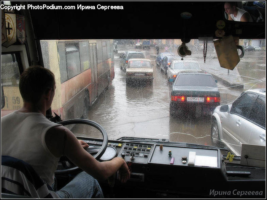 People, Person, Human, Back, Automobile, Car, Vehicle