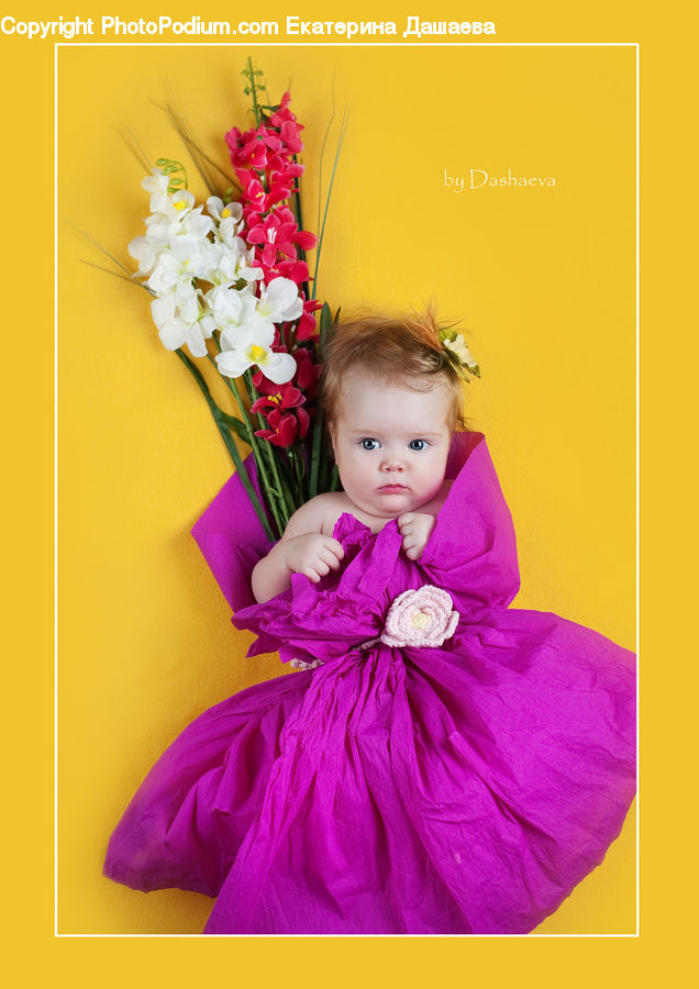 People, Person, Human, Flower, Flower Arrangement, Flower Bouquet, Flora