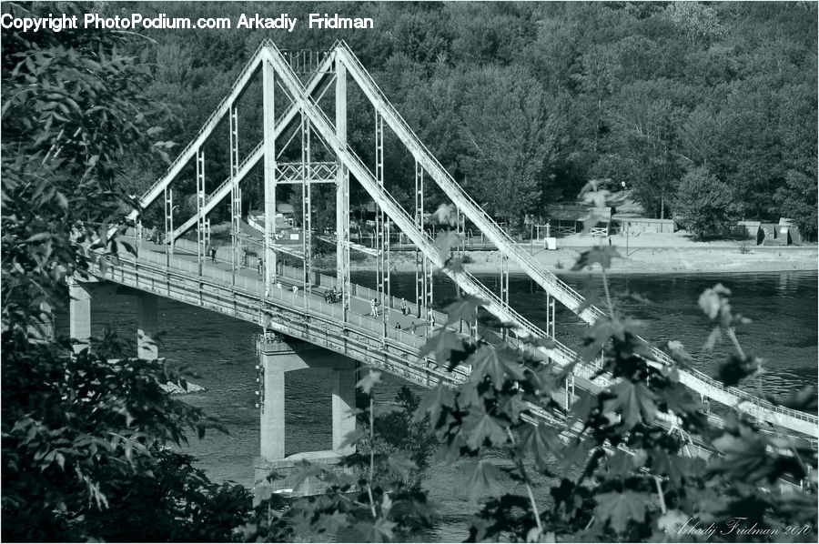 Bridge, Rubble, Harbor, Port, Waterfront, Conifer, Fir
