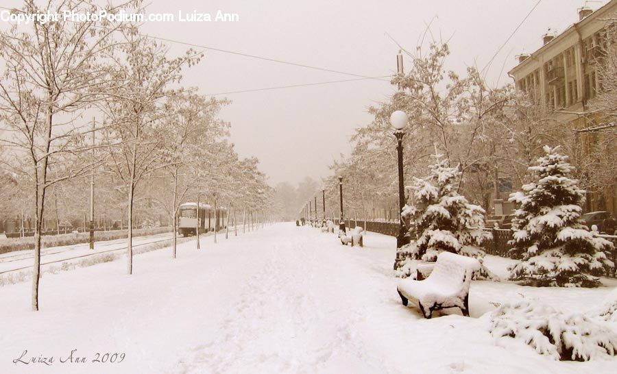 Blizzard, Outdoors, Snow, Weather, Winter, Landscape, Nature