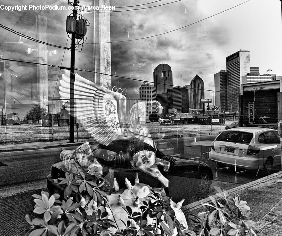 Automobile, Car, Vehicle, City, Downtown, Urban, Sedan
