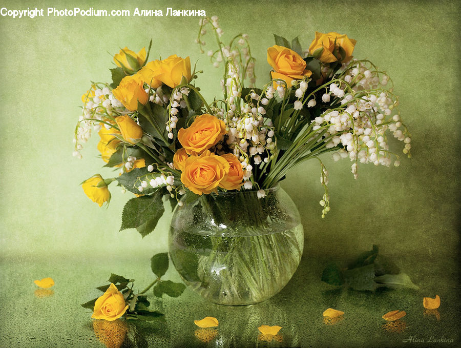 Blossom, Flower, Plant, Rose, Floral Design, Flower Arrangement, Flower Bouquet