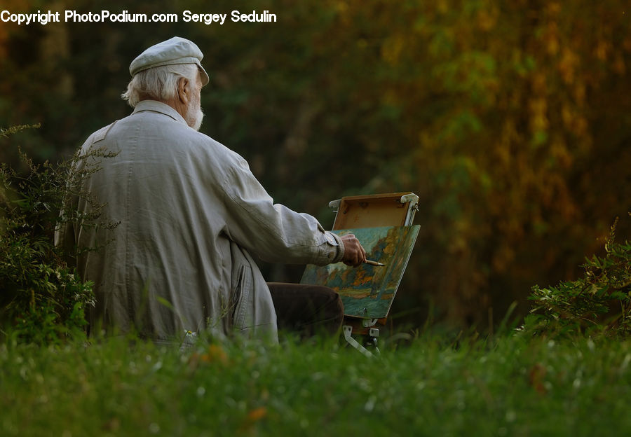 Reading, Rust, Garden, Gardener, Gardening, Person, Conifer