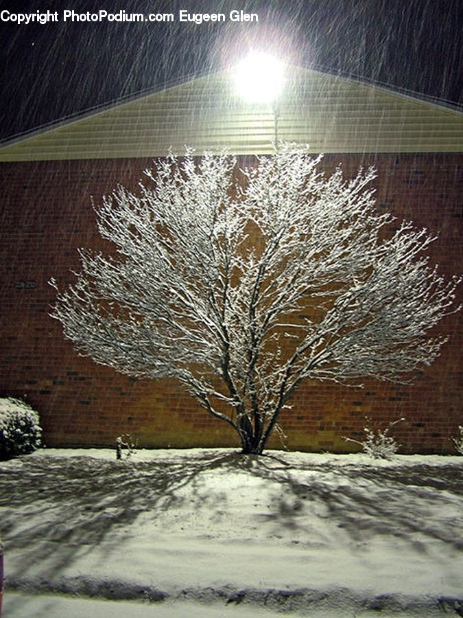 Blizzard, Outdoors, Snow, Weather, Winter