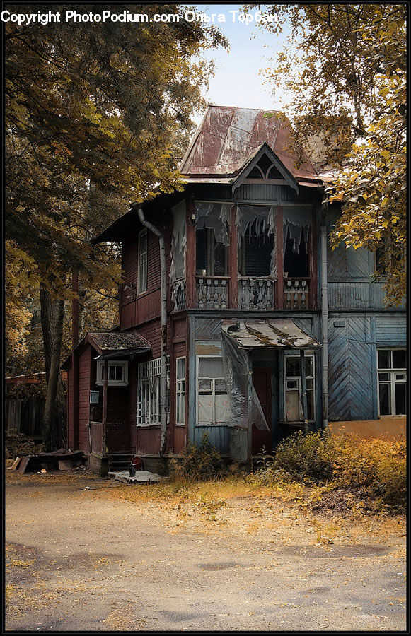 Plant, Potted Plant, Building, Cottage, Housing, Architecture, Mansion