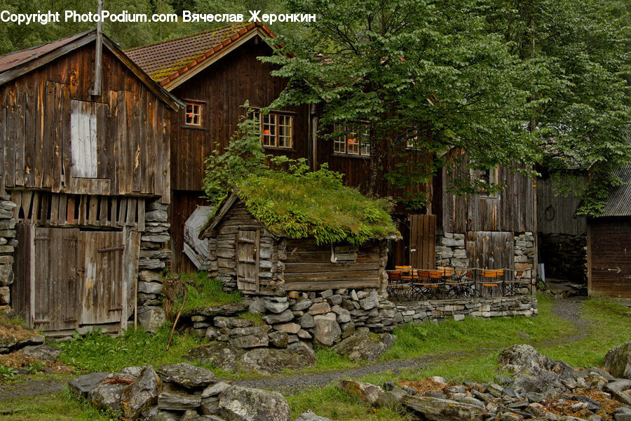 Building, Cabin, Shelter, Plant, Potted Plant, Hut, Rural