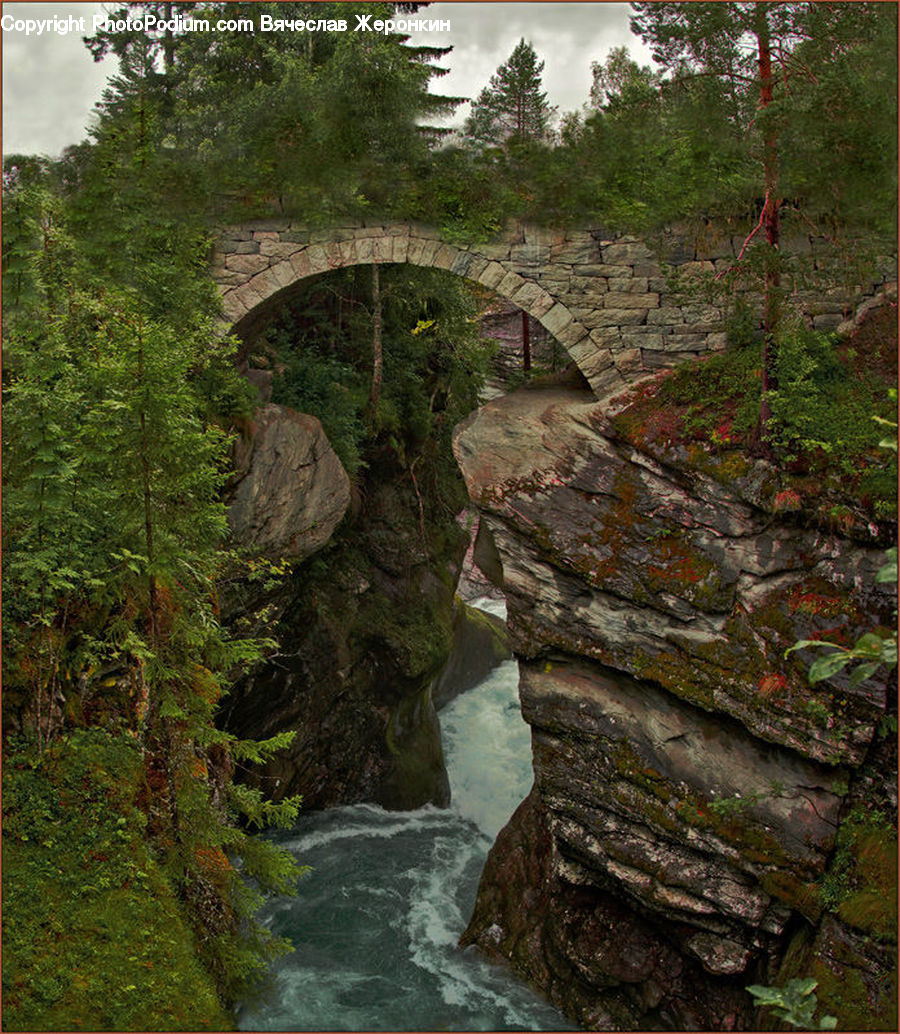 Forest, Jungle, Rainforest, Vegetation, Cliff, Outdoors, Creek