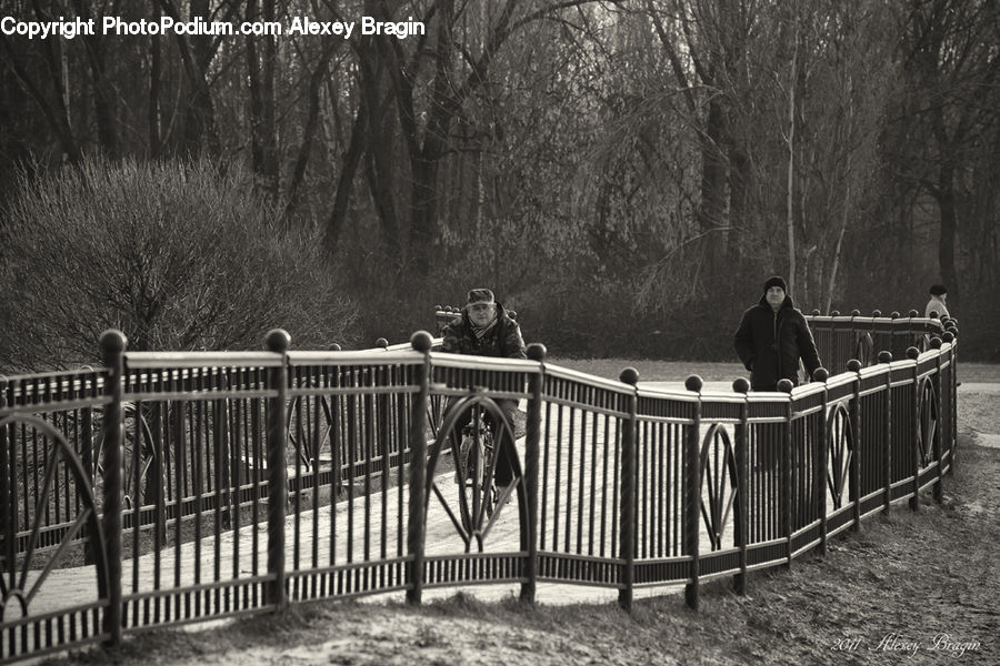 Bicycle, Bike, Vehicle, Railing, Car, Wagon, Park
