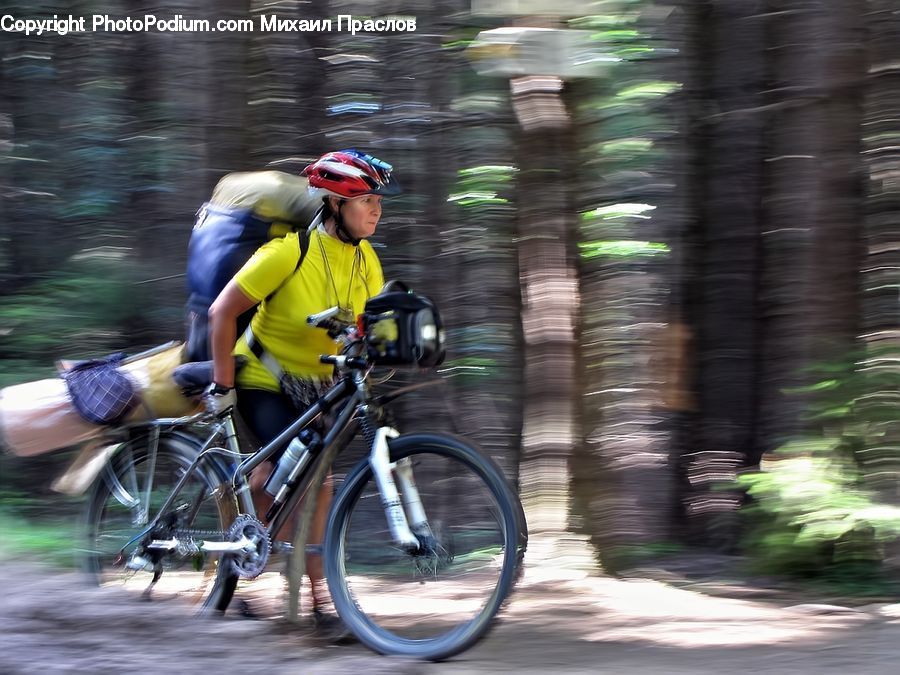 Human, People, Person, Bicycle, Bike, Vehicle, Cyclist