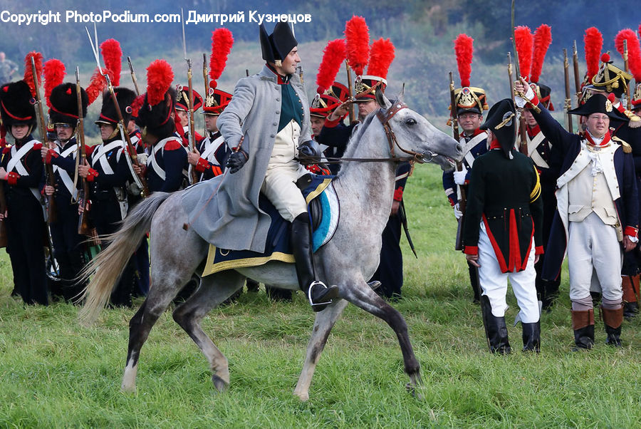 People, Person, Human, Animal, Equestrian, Horse, Team