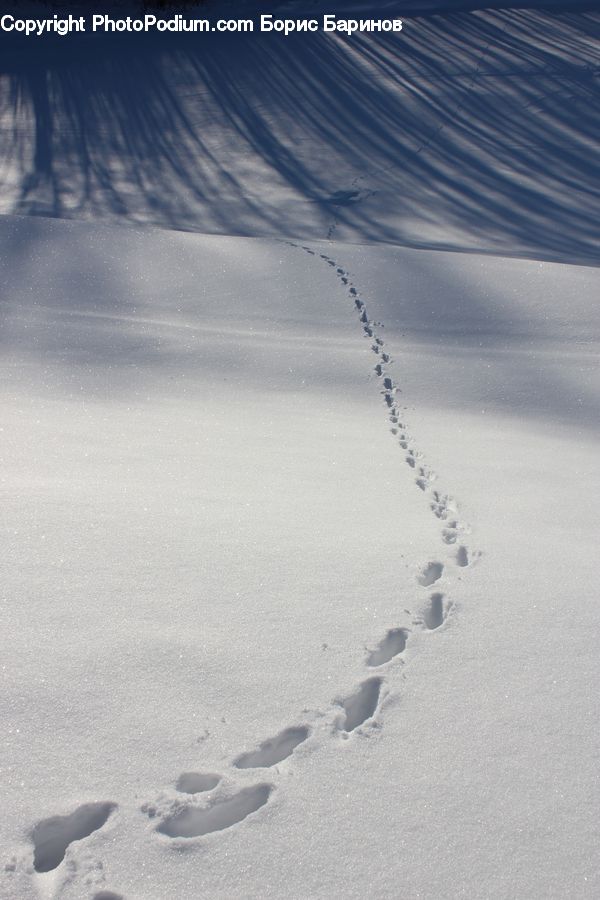 Footprint, Outdoors, Sand, Soil