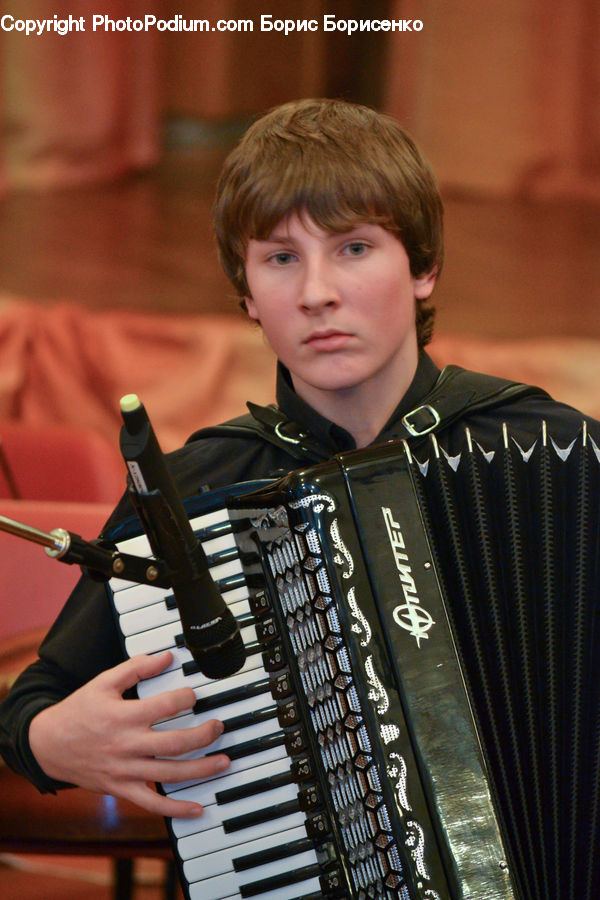People, Person, Human, Accordion, Musical Instrument