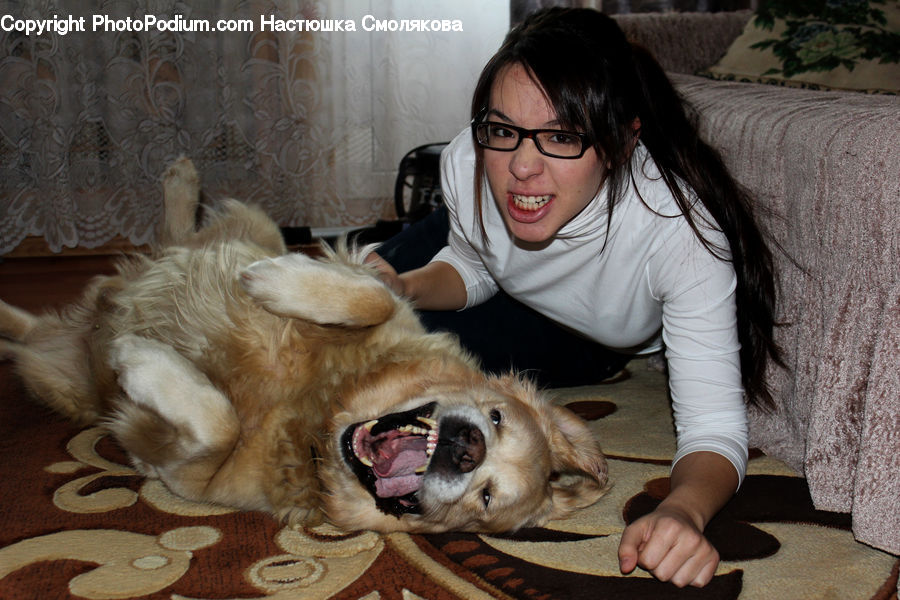 People, Person, Human, Animal, Chow, Dog, Pet