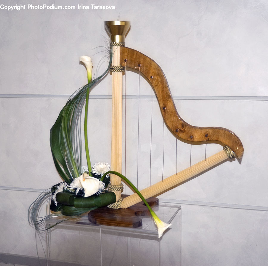 Flower Arrangement, Ikebana, Plant, Potted Plant, Vase, Coffee Table, Furniture