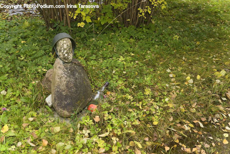 Reptile, Sea Life, Tortoise, Turtle, Buddha, Person, Shrine