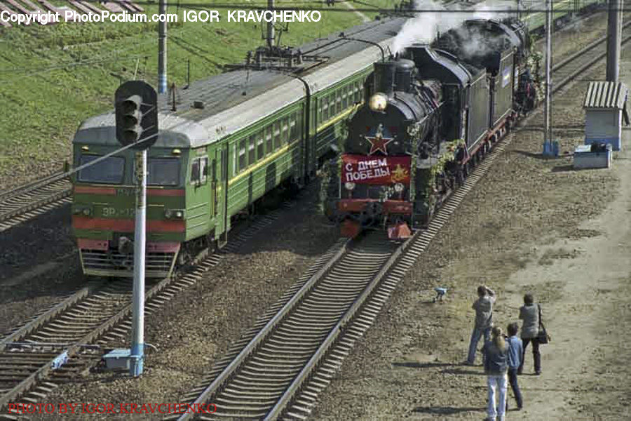 Train, Vehicle, Locomotive, Rail, Transportation, Train Track, Engine