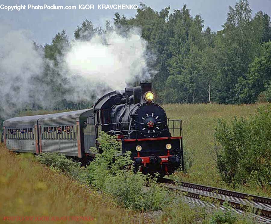 Train, Vehicle, Locomotive, Rail, Transportation, Engine, Machine