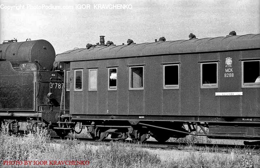 Train, Vehicle, Rail, Train Track, Locomotive, Transportation