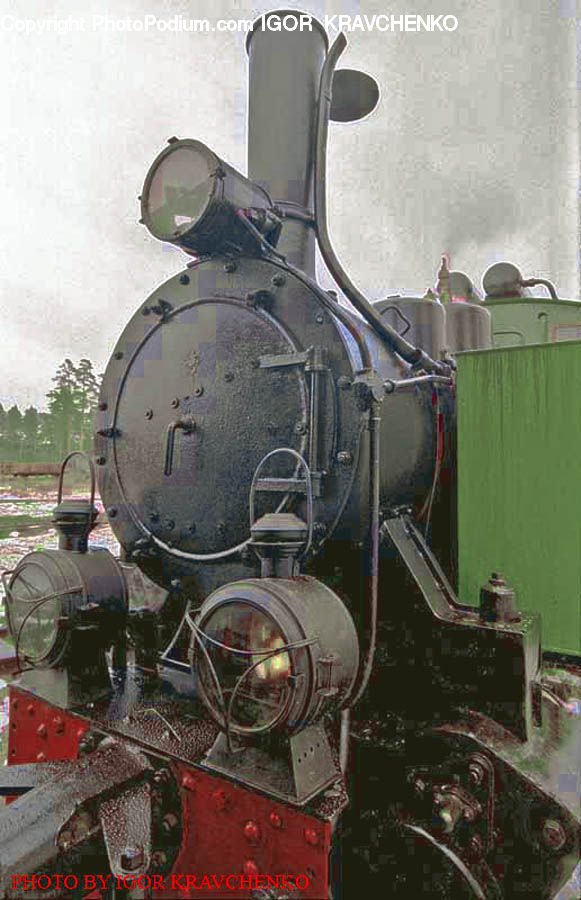 Train, Vehicle, Plant, Potted Plant, Engine, Locomotive, Machine