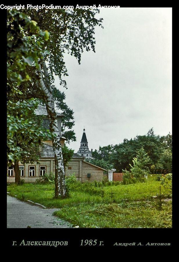 Building, Cottage, Housing, Flyer, Poster, Villa, Alley