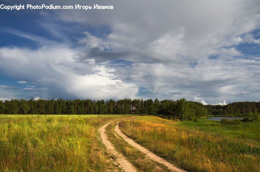 Dirt Road, Gravel, Road, Field, Grass, Grassland, Land