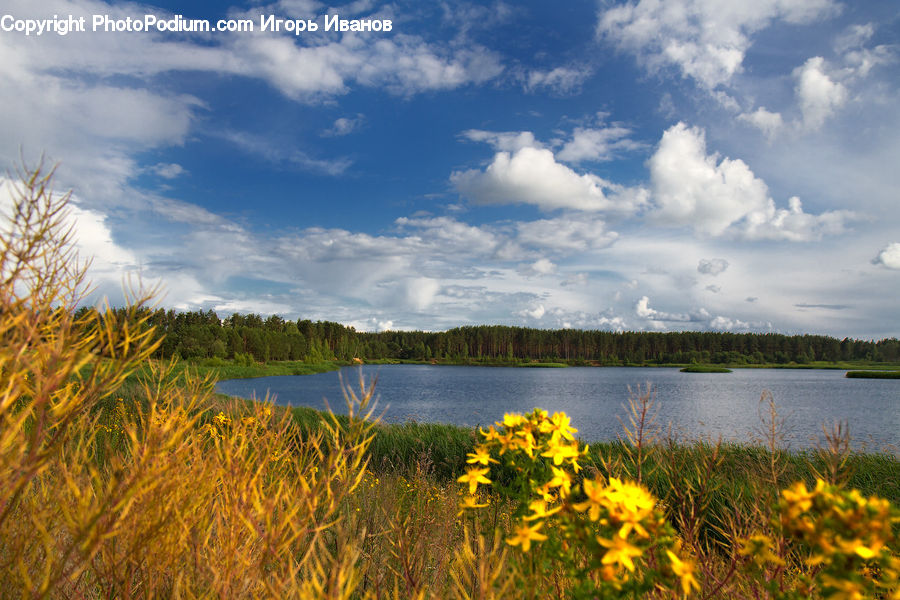 Lake, Outdoors, Water, Cloud, Cumulus, Sky, Field