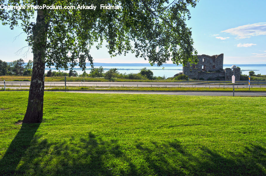 Field, Grass, Lawn, Grassland, Land, Outdoors, Plant
