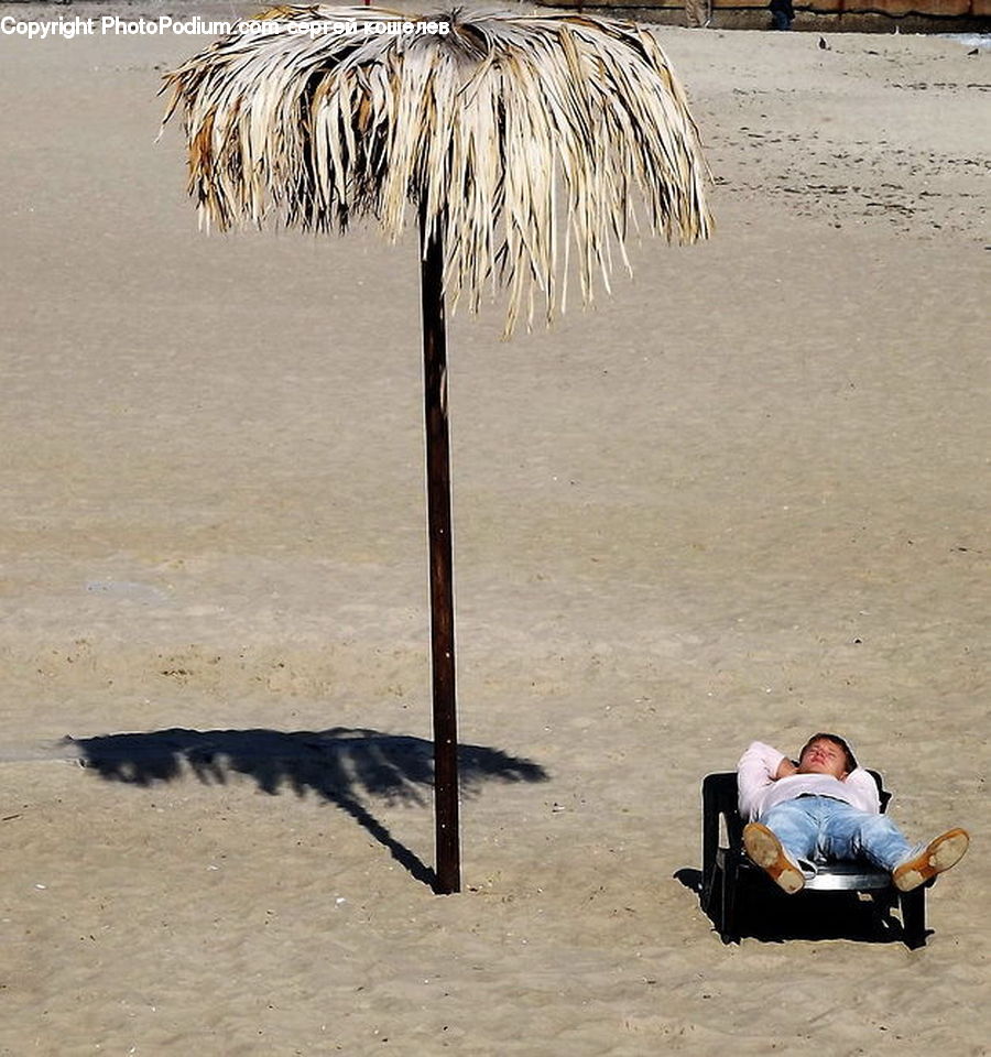 Asleep, Beach, Coast, Outdoors, Sea, Water, Sand