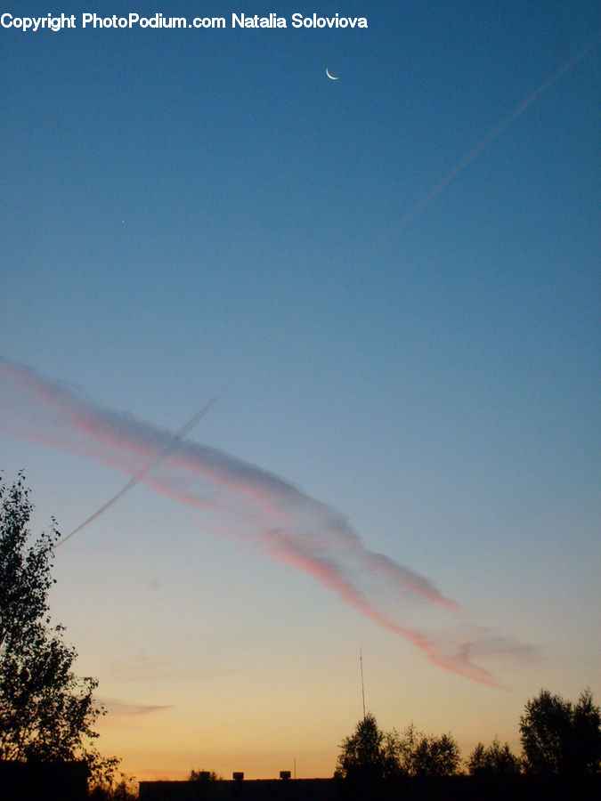 Dawn, Dusk, Red Sky, Sky, Sunrise, Sunset, Plant