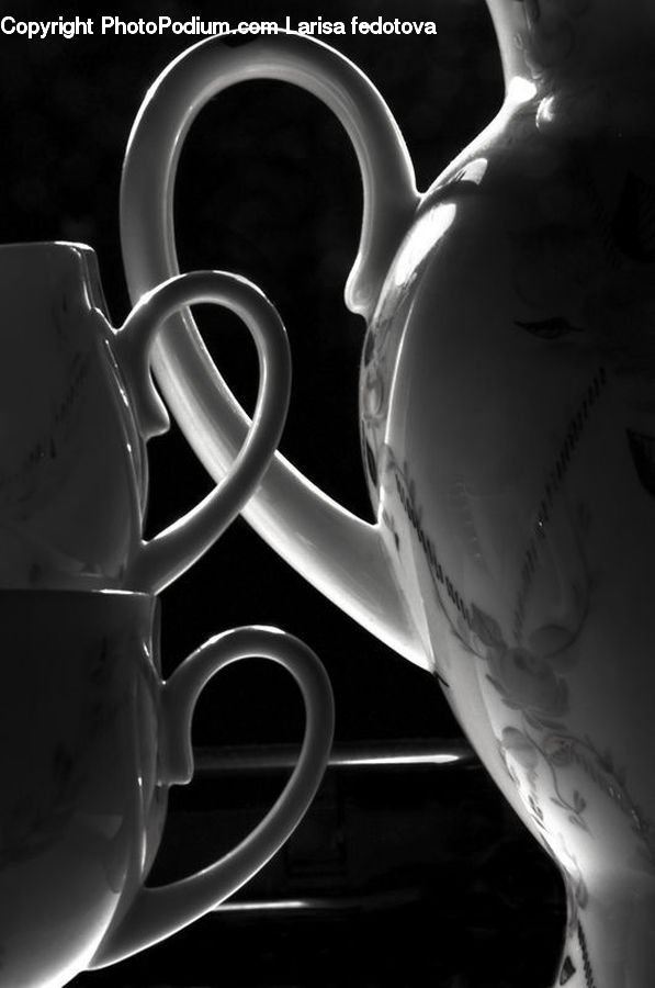 Cup, Head, Portrait