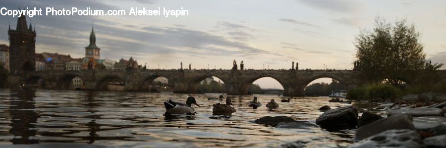 Boat, Watercraft, Bridge, Outdoors, River, Water, Flood