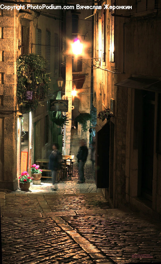 Plant, Potted Plant, Cobblestone, Pavement, Walkway, Alley, Alleyway