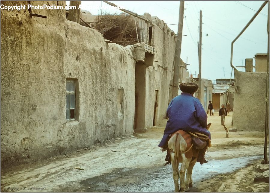 Human, People, Person, Countryside, Field, Rural, Alley